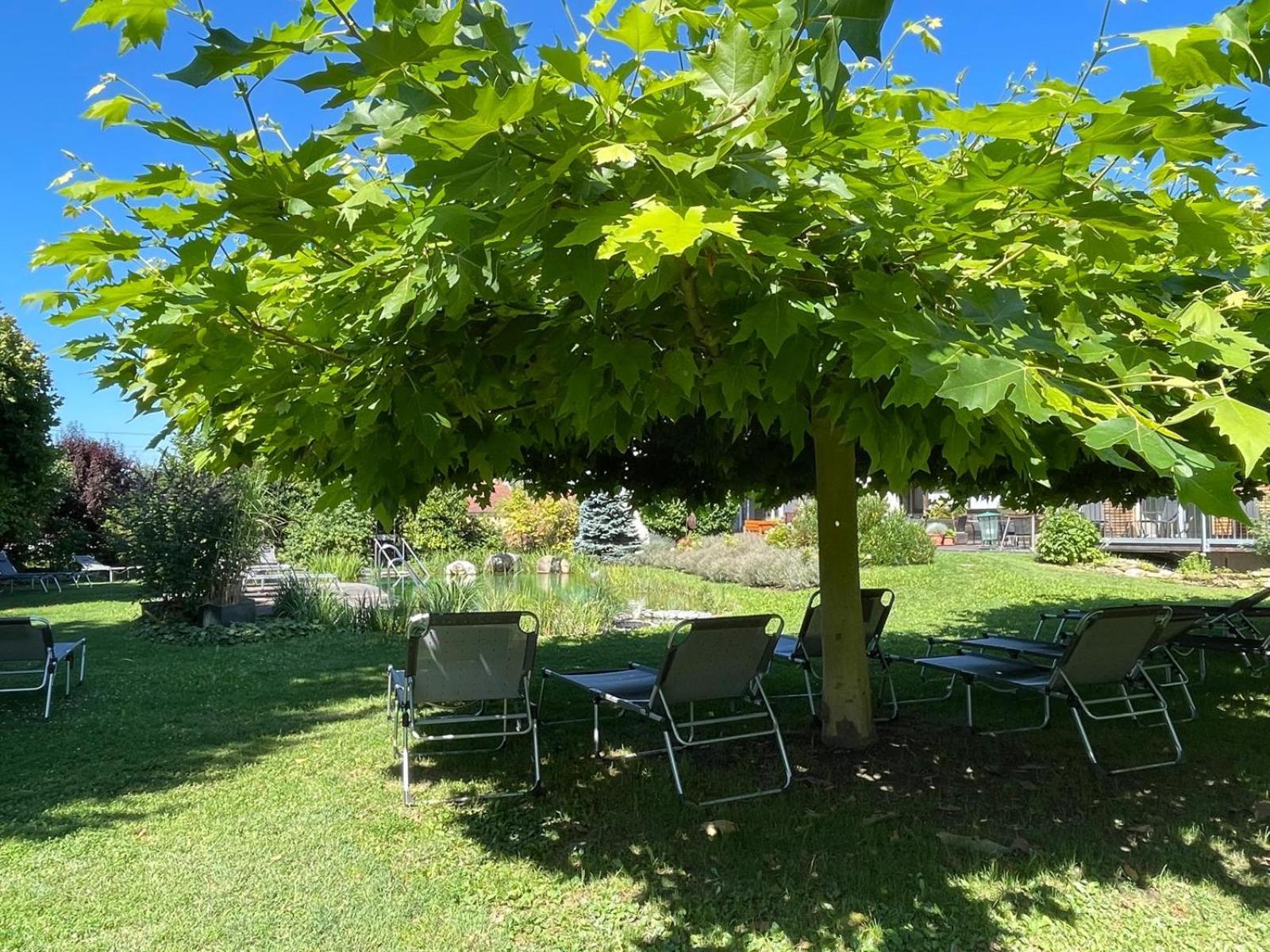 Hotel Weinresidenz Sonnleitner - Adults Only Furth bei Gottweig Exteriér fotografie